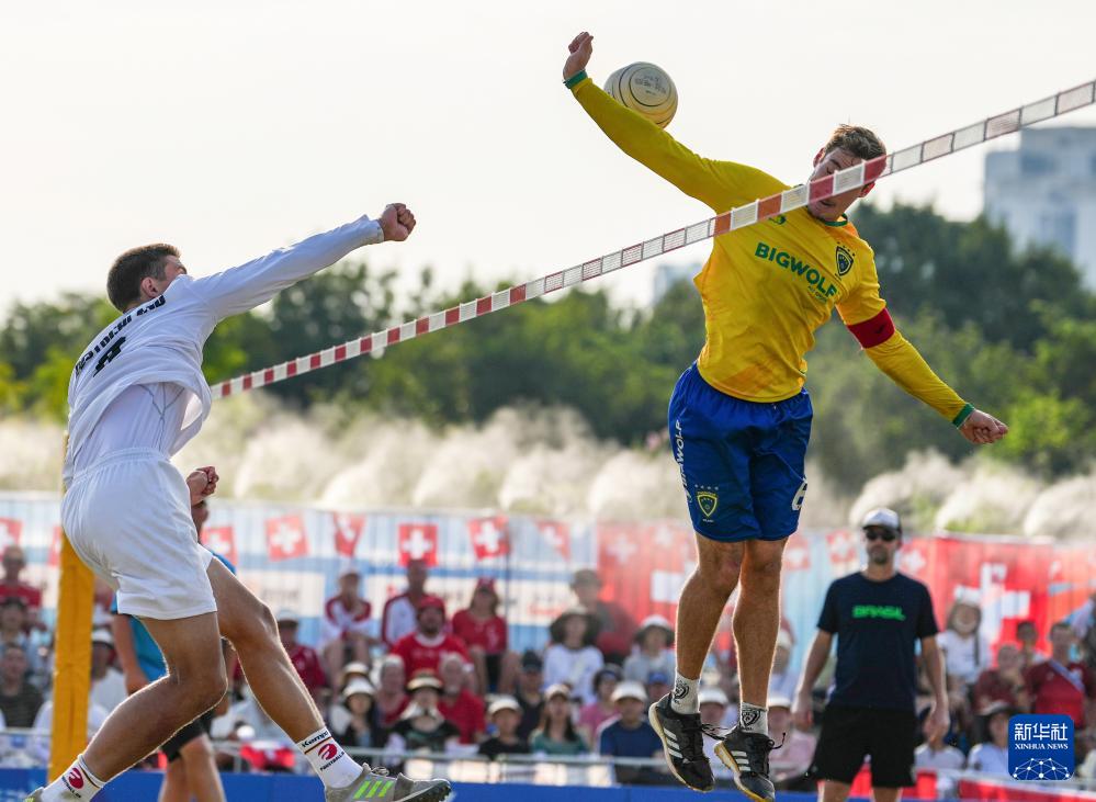 获得冠军, 巴西队获得