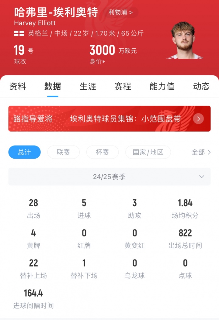 他们向他提, yid, 万欧元的折